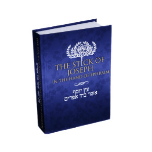 Stick of Joseph - Medium Print Hardcover