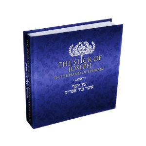Stick of Joseph - Medium Print Hardcover Journaling