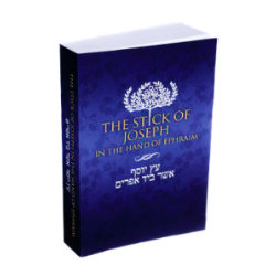 Stick of Joseph - Medium Print Paperback